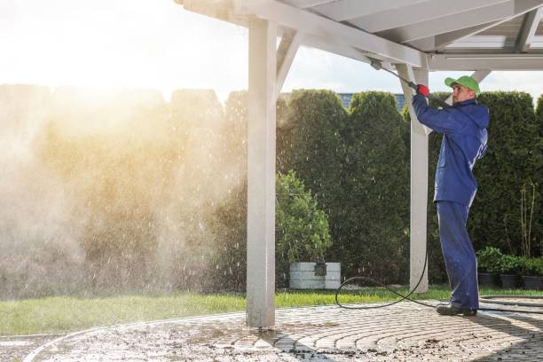 Best Animal Enclosure Cleaning  in Affton, MO